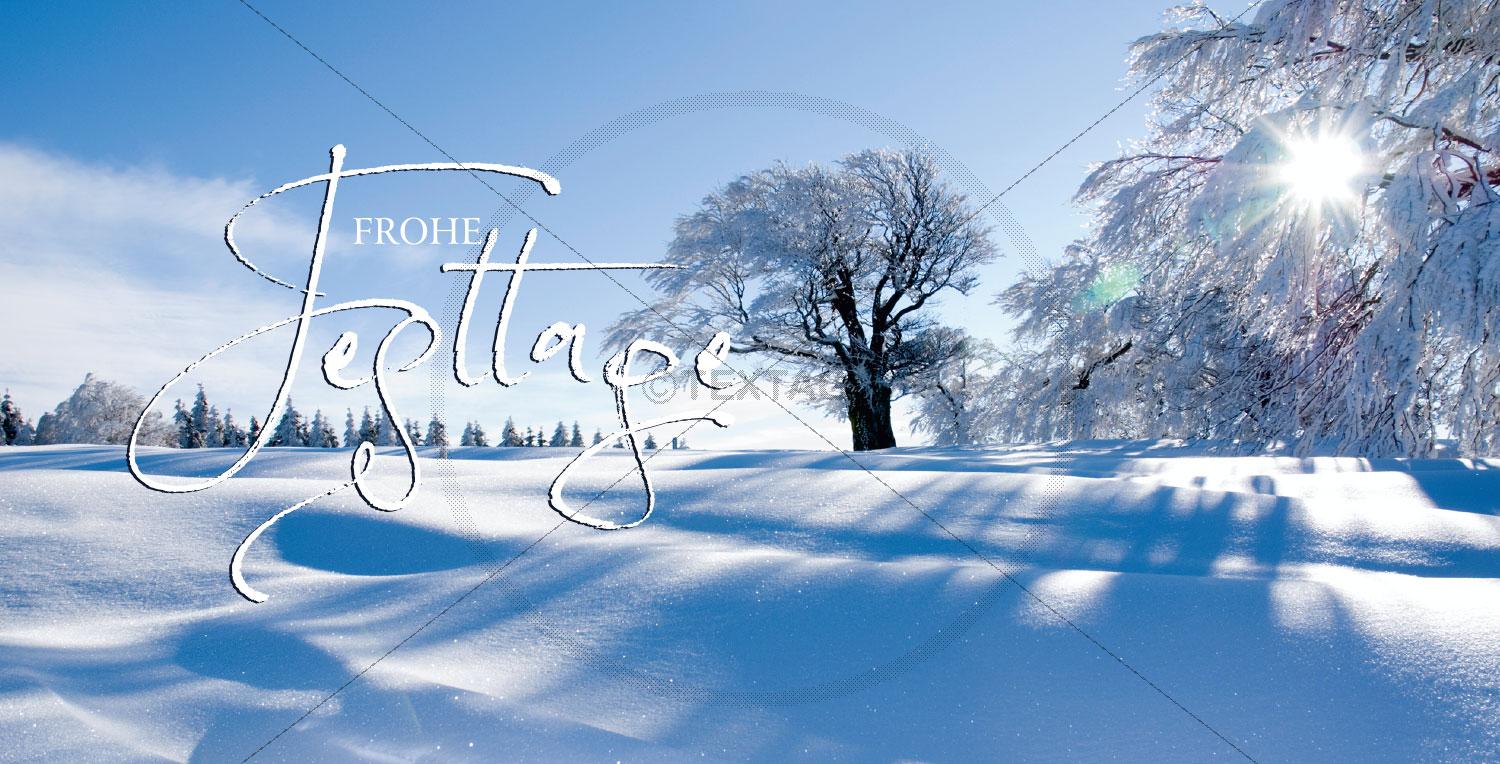 geschäftliche Weihnachtskarte "Winterlandschaft" mit Spruch (102)
