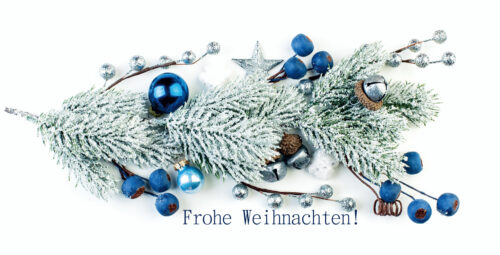 geschäftliche Weihnachtskarte in Weiß, Blau Silber mit Spruch (110)