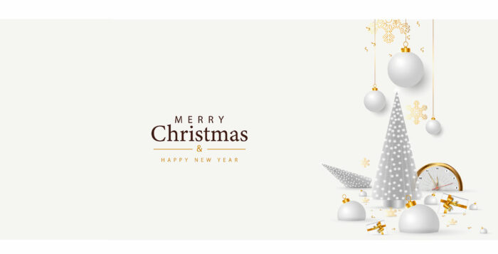 luxuriöse Weihnachtskarte für Kunden in Silber und Gold mit Spruch (88)